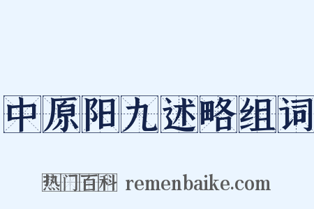 中原阳九述略组词是什么意思的图片